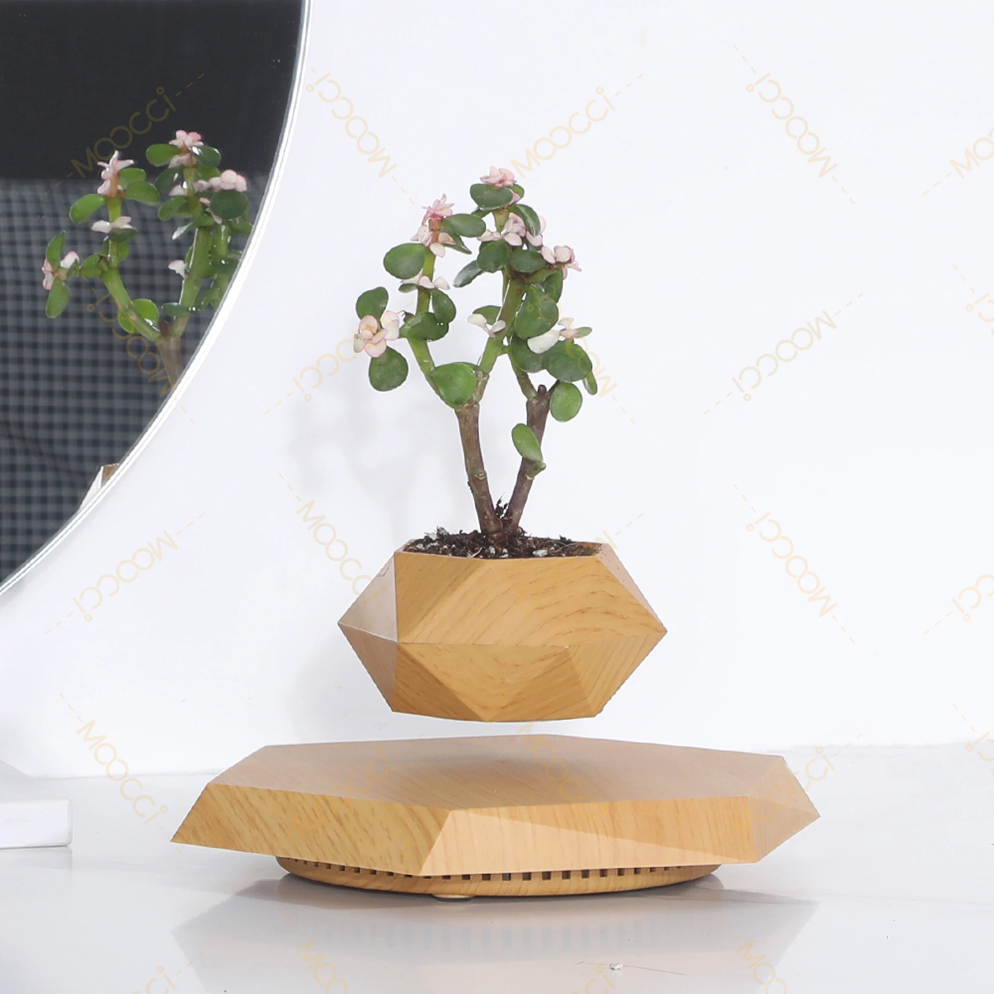 Modern Indoor Decor Rotation Magnetic Levitation Floating Flower Pot Best Gift Lovers Wedding Anniversary Smart Planters - Image 4