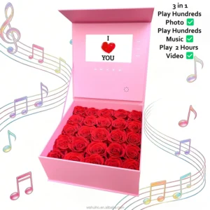 Digital Music Eternal Long Lasting Roses Box Dried Flower Real Natural Gifts Preserved Floral Handmade Rose in Box