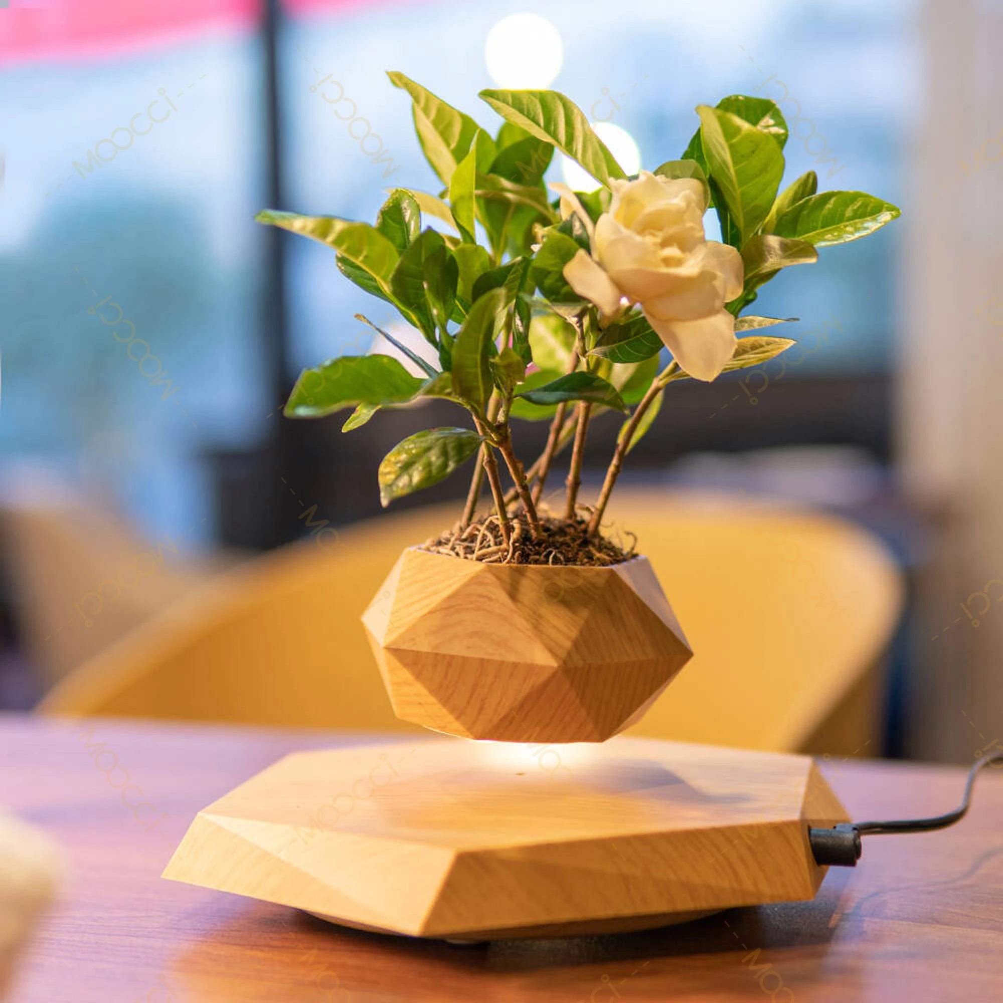 Modern Indoor Decor Rotation Magnetic Levitation Floating Flower Pot Best Gift Lovers Wedding Anniversary Smart Planters - Image 2