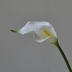 10Pcs Artificial Flowers EVA Calla Lily Home Decoration