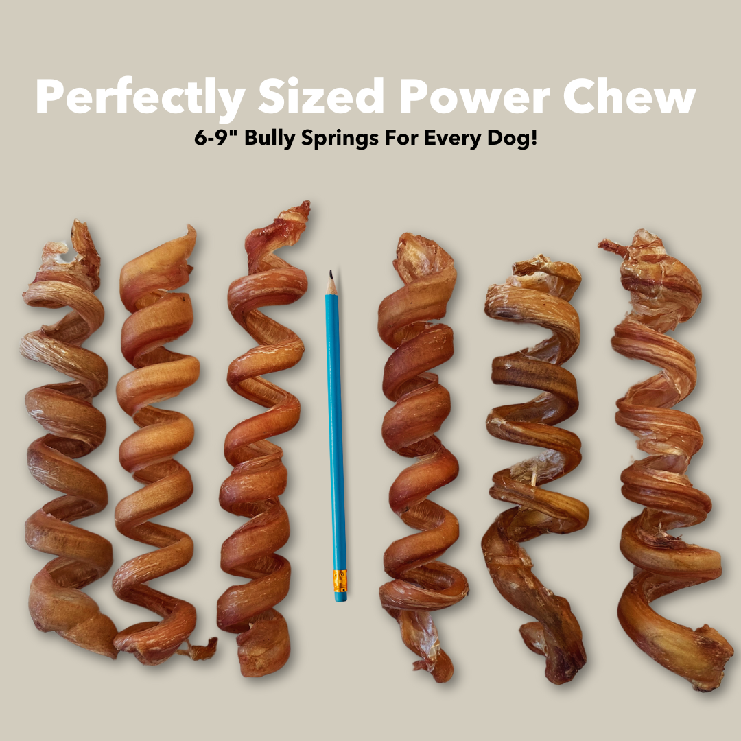 6-9" Bulk Bully Springs - Image 5