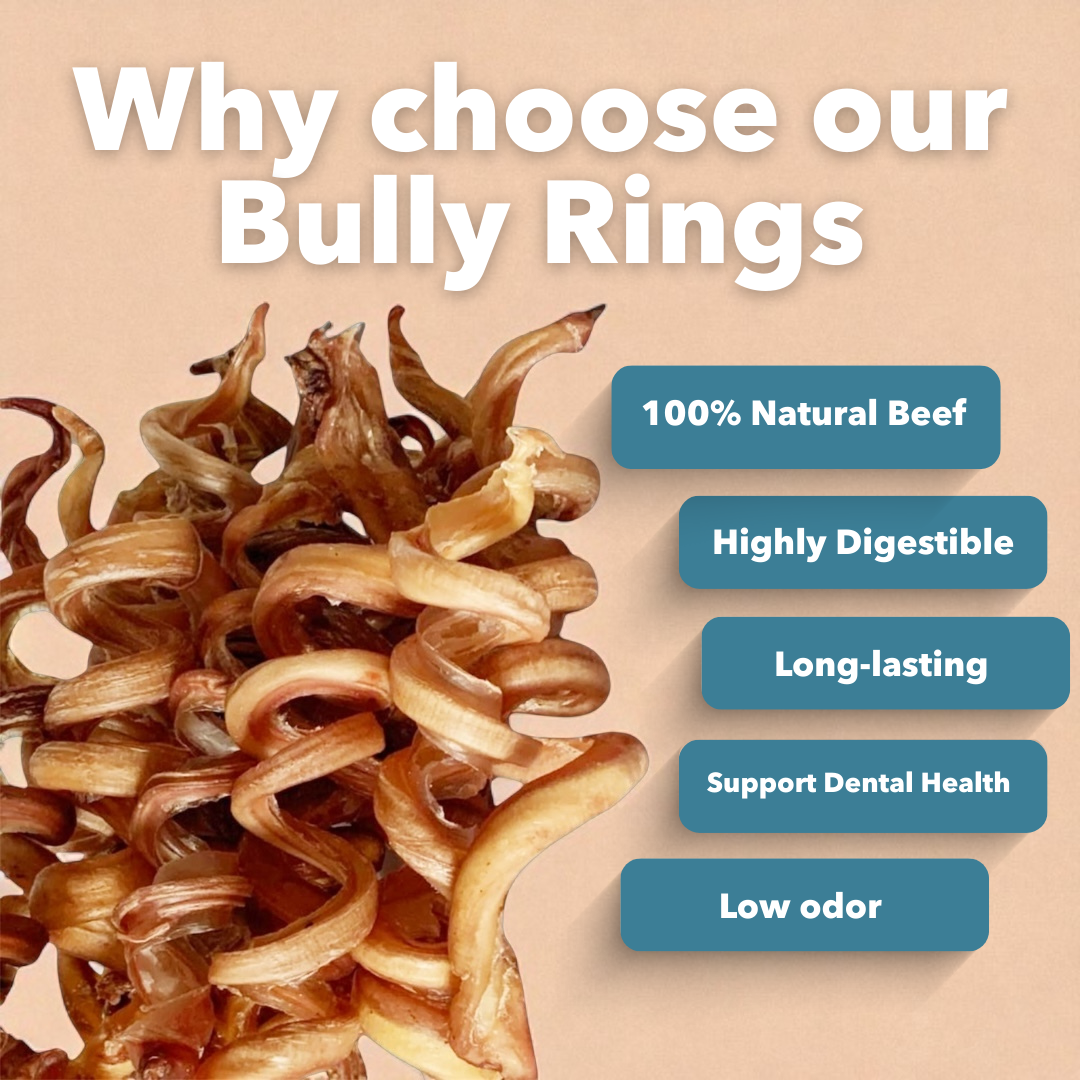 6-9" Bulk Bully Springs - Image 3