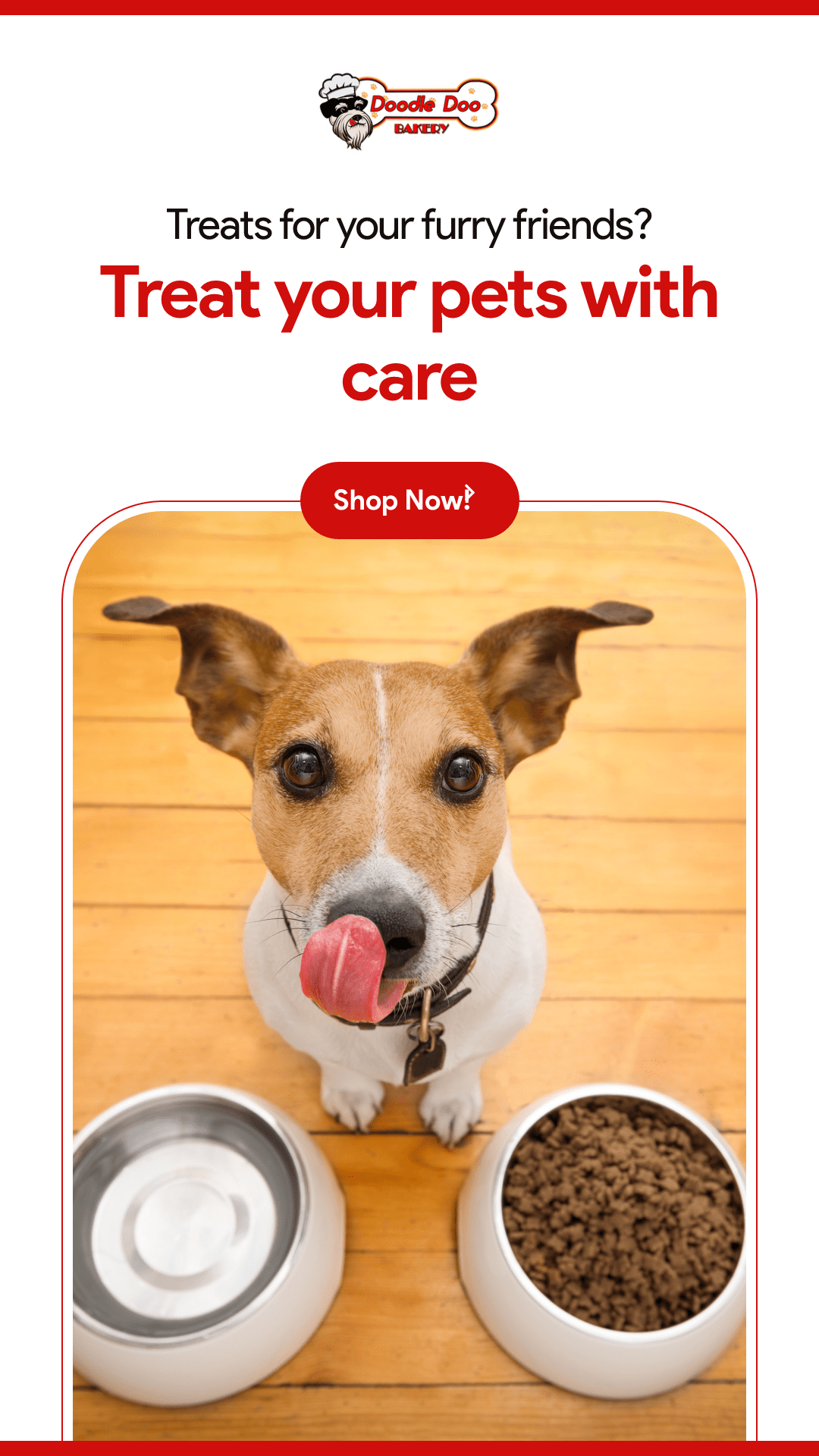 Homemade Dog Treat Party Bag – 1 lb Variety Mix - Image 3