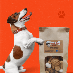 Homemade Dog Treat Party Bag – 1 lb Variety Mix
